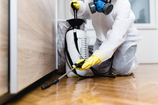 Best Bed Bug Extermination  in St Ignace, MI