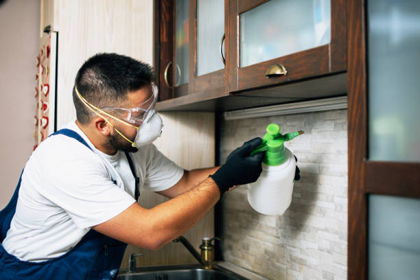 Best Pest Prevention Services  in St Ignace, MI