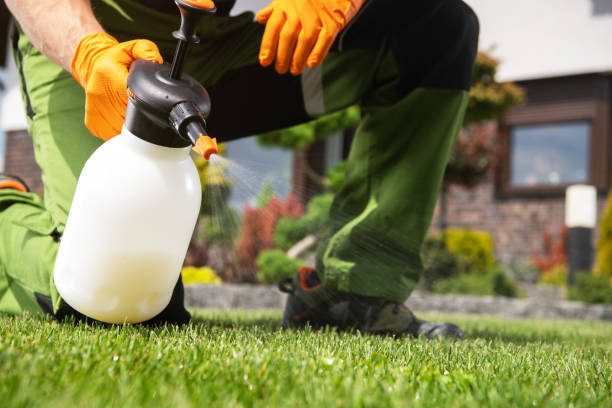 Best Exterminator Services  in St Ignace, MI