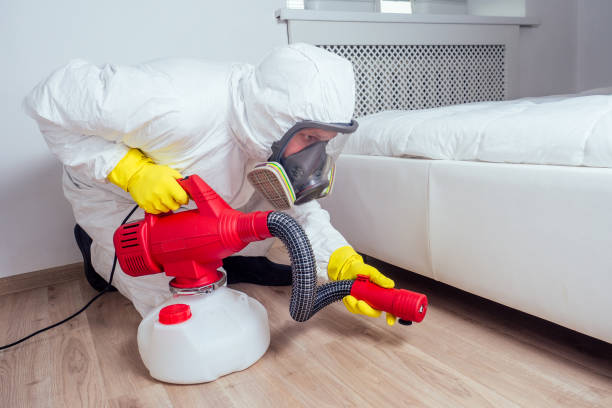 Best Termite Control Services  in St Ignace, MI