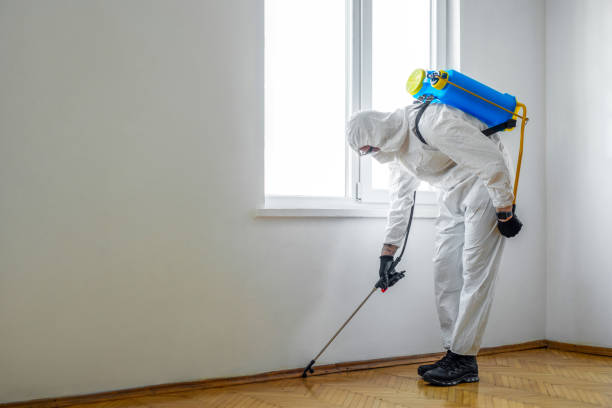 Best Pest Control Near Me  in St Ignace, MI