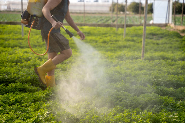 Best Mosquito Control Services  in St Ignace, MI