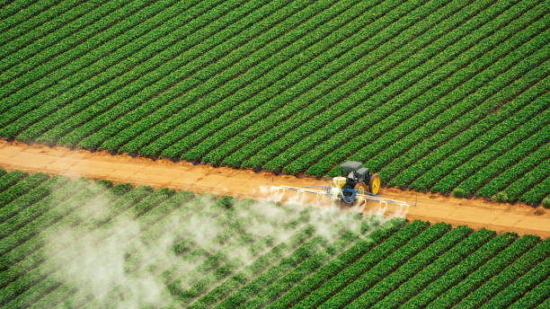 Best Ant Control Services  in St Ignace, MI