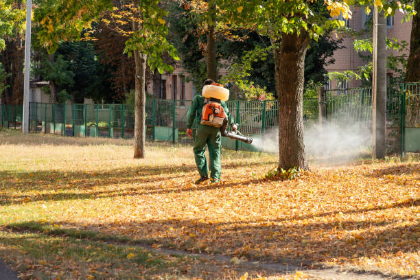 Best Affordable Pest Control Services  in St Ignace, MI