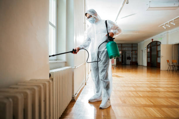 Professional Pest Control in St Ignace, MI